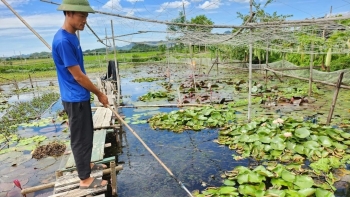 'Vua ốc nhồi' và tuyệt chiêu đốn tim khách hàng bằng món chả ốc lá lốt và chả ốc ống nứa