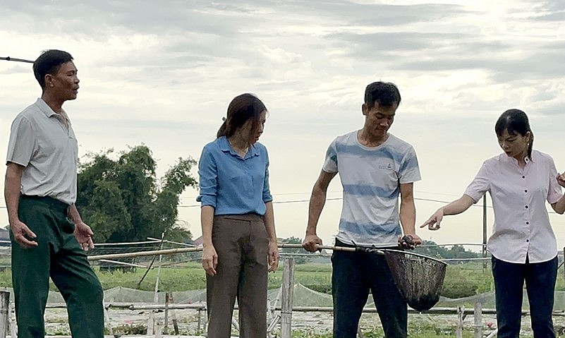 Theo anh, ốc nhồi khá dễ nuôi nhưng có 2 loại bệnh cần đặc biệt chú ý là bệnh sưng vòi và đường ruột. 