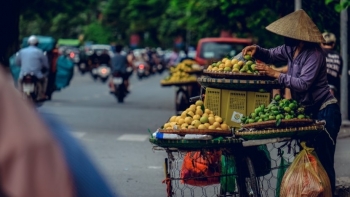 Quả thị, cành thị "rủ nhau" xuống phố, giá cao vẫn đắt hàng