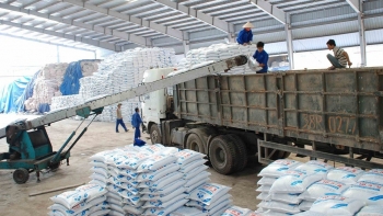 Xuất khẩu phân bón 7 tháng tiếp tục giảm mạnh