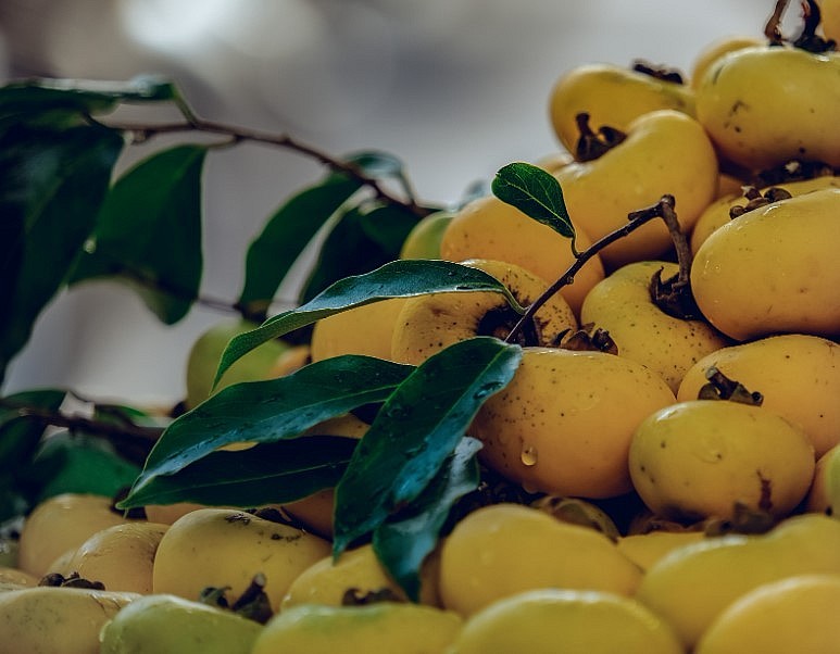 Thị là loại quả đặc trưng của mùa thu