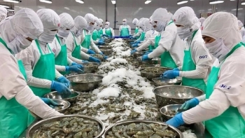 Việt Nam vẫn dẫn đầu về cung cấp tôm cho Nhật Bản