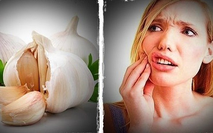 7 lợi ích của dầu tỏi với sức khỏe 7 lợi ích của dầu tỏi với sức khỏe