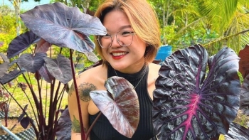 Lai tạo thành công kiểng lá Blackpink độc lạ, nữ 9X gây sửng sốt khi vượt qua ngưỡng một phần nghìn