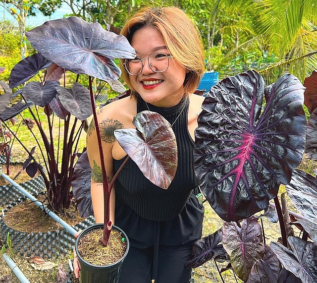 Huỳnh Phượng bắt đầu lai tạo kiểng lá từ năm 2021.