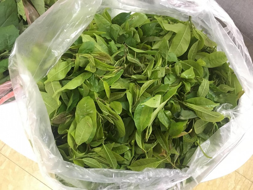 Rau mít rừng Rau mít rừng