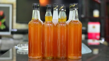 Nâng tầm thương hiệu “Mật ong vùng đồi” Ninh Bình