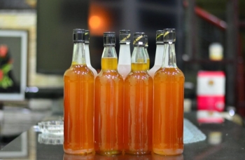 Nâng tầm thương hiệu “Mật ong vùng đồi” Ninh Bình