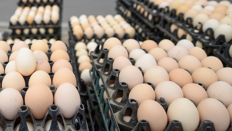 Mỗi tháng, ông Mười thu về lợi nhuận thu về từ 30 - 40 triệu đồng Mỗi tháng, ông Mười thu về lợi nhuận thu về từ 30 - 40 triệu đồng