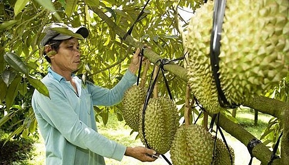 nông dân thông qua hợp đồng kinh tế theo đúng quy định của pháp luật.