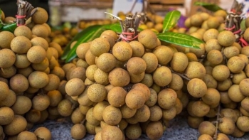 Nhãn lồng nhận Chứng nhận quyền sử dụng chỉ dẫn địa lý "Hưng Yên"