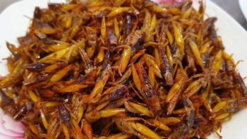 Ăn một con cào cào, người phụ nữ bị sốc phản vệ, tử vong