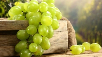 9 loại thực phẩm giúp kéo dài tuổi thọ nên ăn thường xuyên