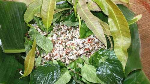 Đặc sản "gỏi cá sống kiến vàng" của người Rơ Măm "ăn là nghiện"