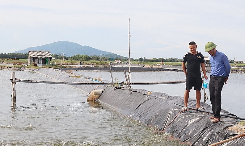 Anh Đức chia sẻ về kỹ thuật nuôi cá chim trắng vây vàng. Anh Đức chia sẻ về kỹ thuật nuôi cá chim trắng vây vàng.