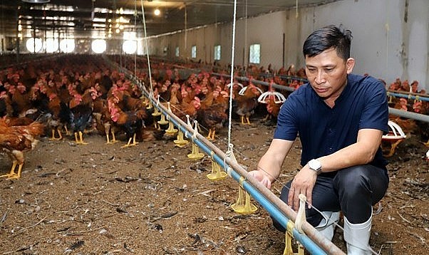 Ông Phạm Xuân Thủy đã thuê 7ha ruộng để lập ra Ông Phạm Xuân Thủy đã thuê 7ha ruộng để lập ra