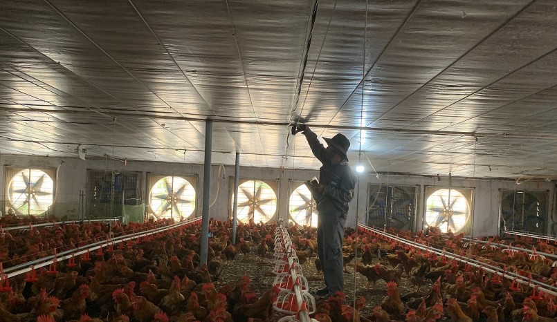 Mọi hoạt động kiểm tra, giám sát được thực hiện qua hệ thống camera, việc cho ăn được công nghệ hóa Mọi hoạt động kiểm tra, giám sát được thực hiện qua hệ thống camera, việc cho ăn được công nghệ hóa