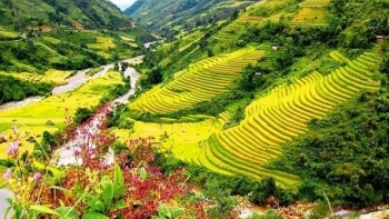 5 điểm ngắm lúa chín Sapa bạn không nên bỏ qua