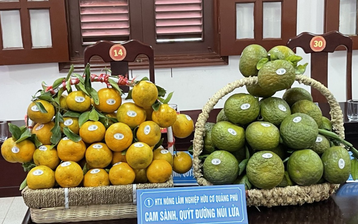 Trái ngọt trên đá