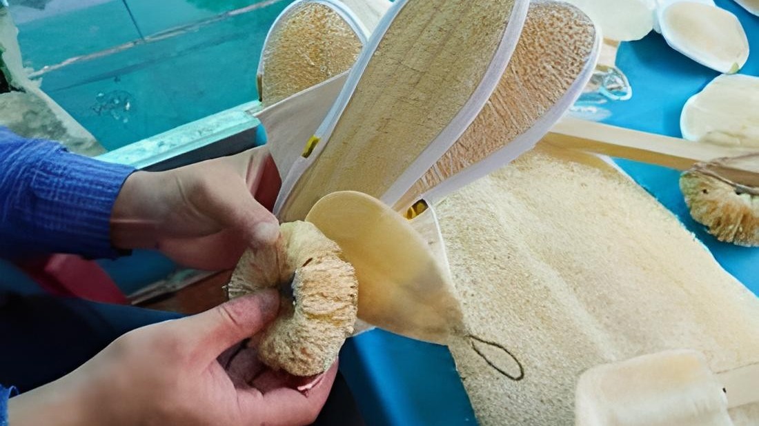 Tác dụng tuyệt vời của xơ mướp trong đời sống và làm đẹp