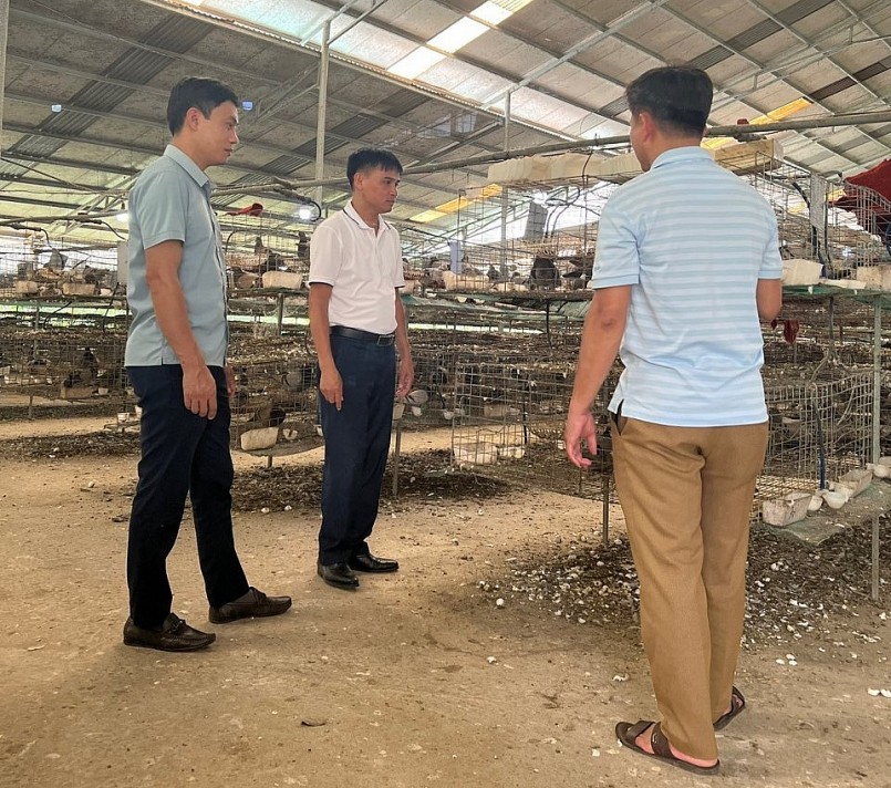 Nhiều người tới tiemr hiểu về hiệu quả của nuôi chim bồ câu Pháp tại HTX. Nhiều người tới tiemr hiểu về hiệu quả của nuôi chim bồ câu Pháp tại HTX.