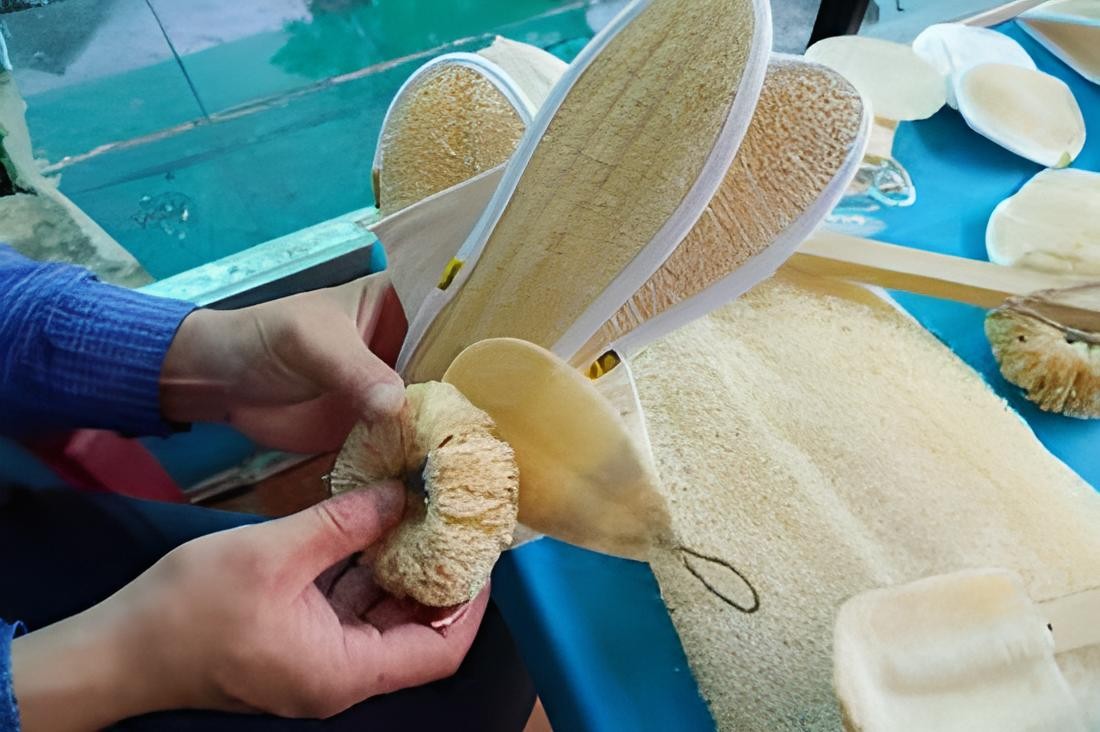 Tác dụng tuyệt vời của xơ mướp trong đời sống và làm đẹp