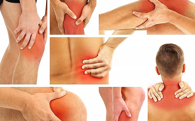 Tác dụng không ngờ tới từ thảo dược “cay xè” wasabi Tác dụng không ngờ tới từ thảo dược “cay xè” wasabi