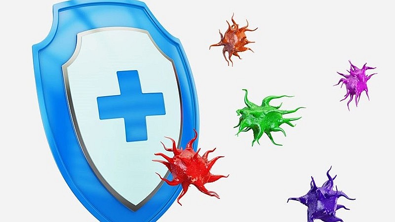 Tác dụng không ngờ tới từ thảo dược “cay xè” wasabi Tác dụng không ngờ tới từ thảo dược “cay xè” wasabi