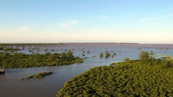 Quy mô Khu bảo tồn thiên nhiên Tiền Hải có thể bị xóa sổ gần 90%