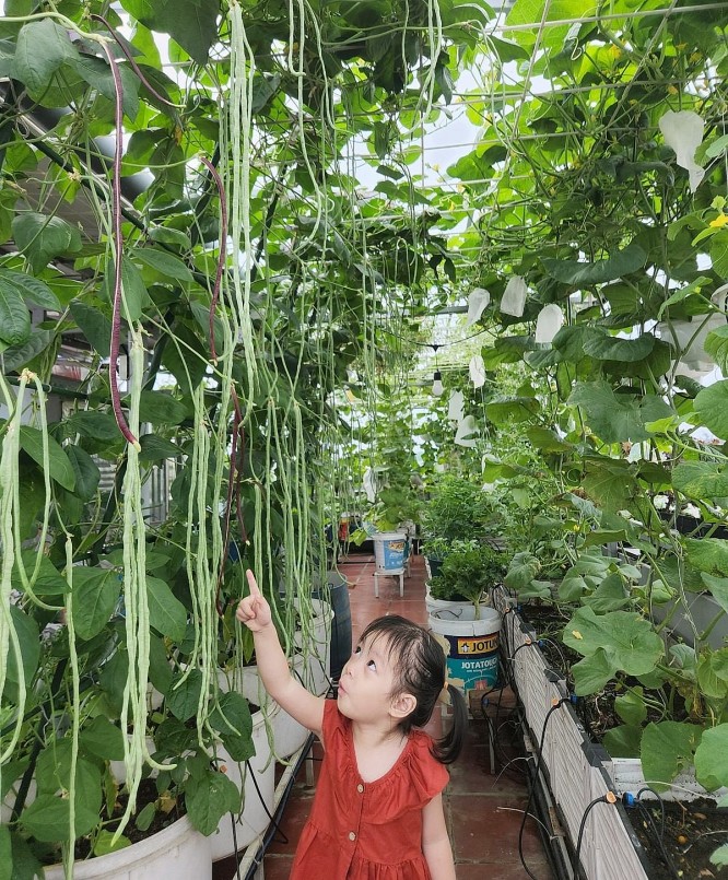 Vườn rau trên sân thượng đã đem lại niềm vui, niềm hy vọng cho gia đình trẻ.