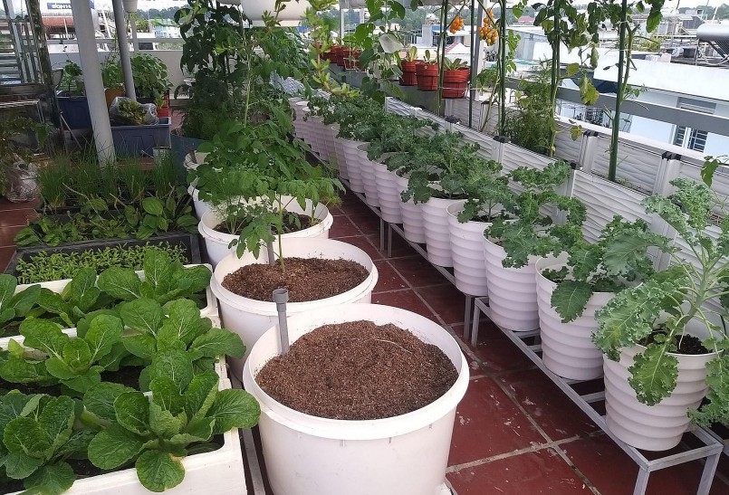 Những loại rau quả được trồng theo mùa.