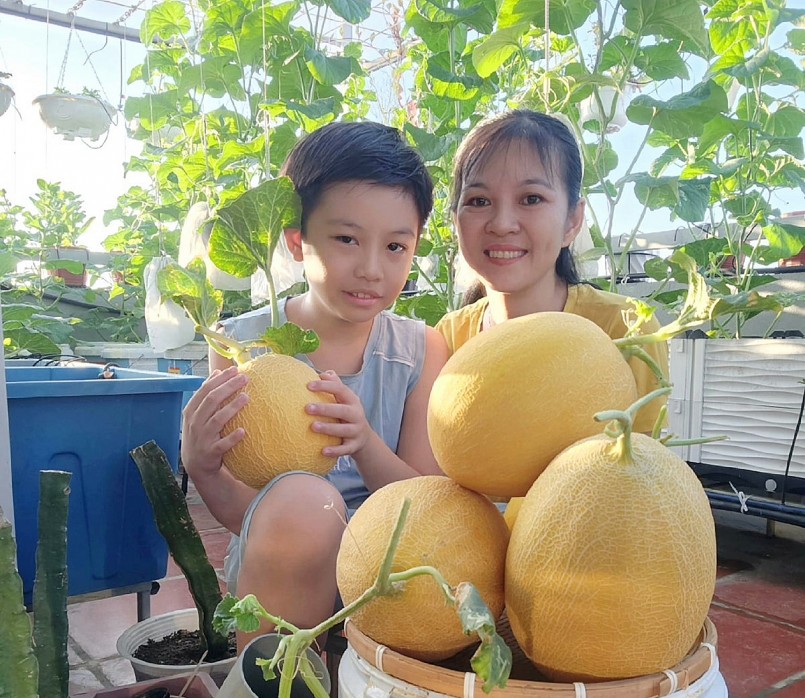 Tùng Quân giờ đã hoạt bát trở thành trợ thủ làm vườn đắc lực của mẹ.