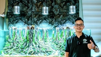 Mê hồ cá thủy sinh tự xây bằng bể gạch nay 9X lập doanh nghiệp tạo doanh thu hàng tỉ đồng mỗi năm