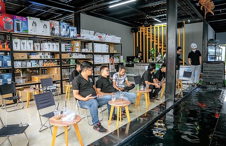 Khách hàng đến với Ylang Aquarium tham quan các kiểu dáng bể cá thủy sinh đủ chủng loại, độc đáo về phong cách. Khách hàng đến với Ylang Aquarium tham quan các kiểu dáng bể cá thủy sinh đủ chủng loại, độc đáo về phong cách.