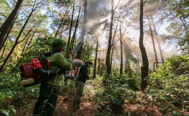 sau khi sâu xuất hiện đơn vị đã chủ động tiến hành phun phòng trừ sâu.