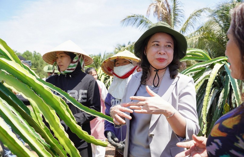 Lãnh đạo đảng và nhà nước đến thăm Tổ hợp tác thanh long Liễu Đào.