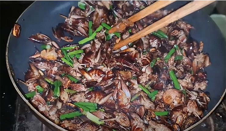 Tôm rừng chế biến thành nhiều món ngon