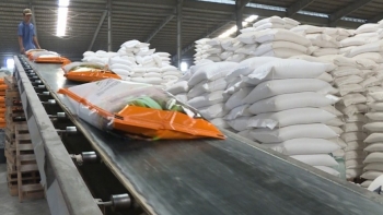 Vượt Thái Lan, giá gạo xuất khẩu của Việt Nam cao nhất thế giới