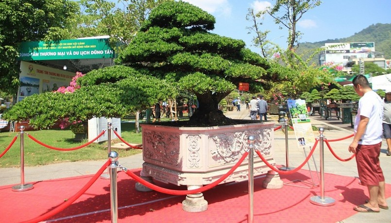 Triển lãm thu hút nhiều đơn vị, tổ chức hội, CLB, trung tâm, nhà vườn ở nhiều tỉnh, thành phố trong cả nước đăng ký tham gia.