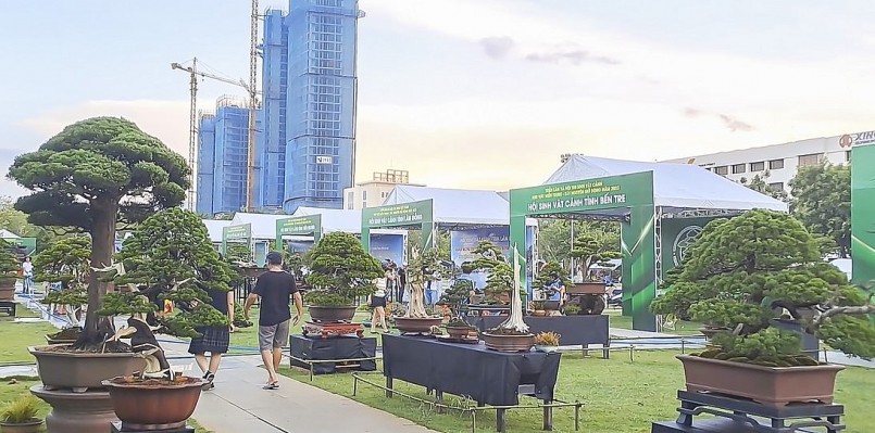 hàng nghìn tác phẩm, sản phẩm SVC đa chủng loại. 