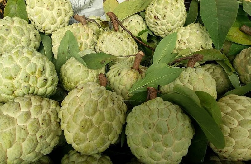 Na Chi Lăng đã có mặt trên thị trường cả nước.