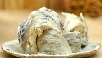 Tổ yến Cần Giờ, bí quyết tạo ra thứ 'vàng trắng' tốt nhất thế giới