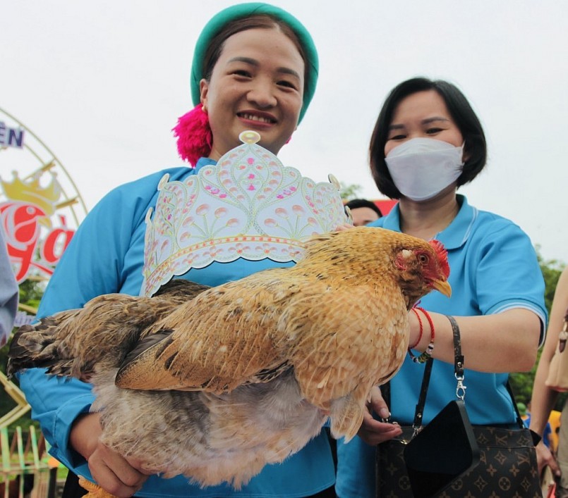 Danh hiệu Hoa hậu gà thuộc về gà của xã Đại Dực.