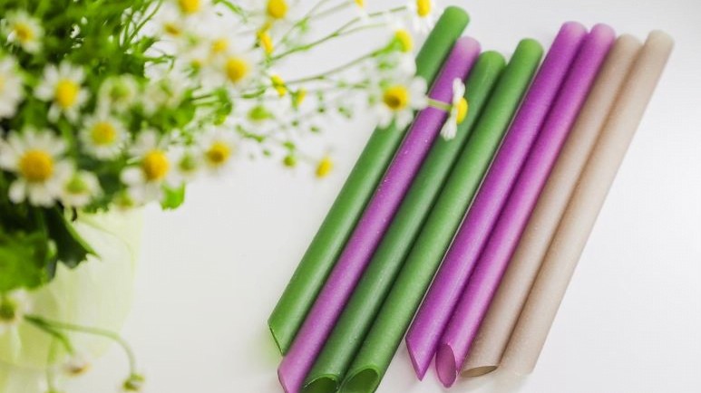 5 loại ống hút tự nhiên bảo vệ môi trường mà bạn nên biết