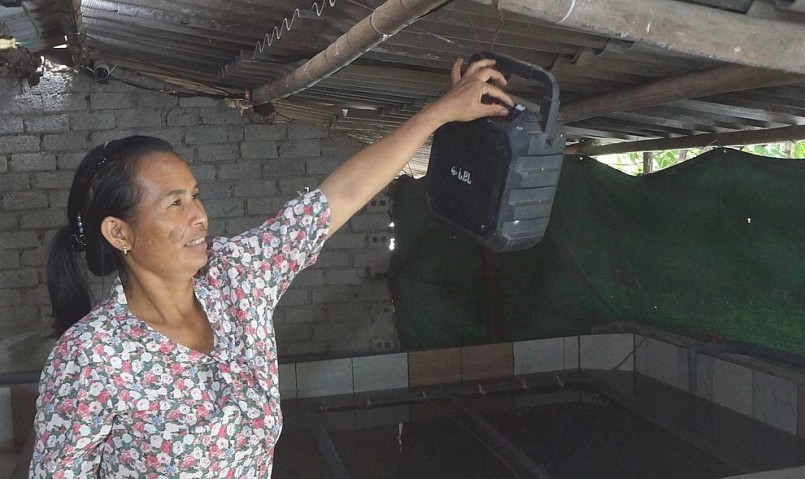 Trại nuôi lươn được lắp hệ thống âm thanh để cho lươn nghe nhạc mỗi ngày.