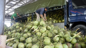 Giá chanh leo xuống đáy, giá dừa tăng gấp 3 sau tin được xuất khẩu sang Mỹ