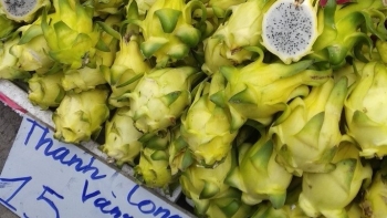 Trái cây độc lạ từng gây sốt một thời, giờ ra sao?