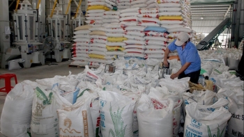 Khẩn trương hoàn thành nhập gạo theo hợp đồng đã ký