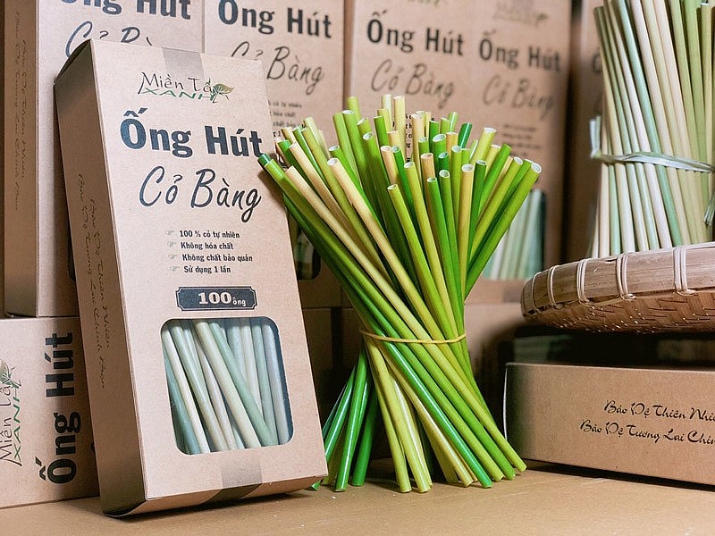 5 loại ống hút tự nhiên bảo vệ môi trường mà bạn nên biết