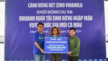 Cánh rừng Net Zero Vinamilk “check-in” tại cực Nam Tổ quốc với dự án tái sinh 25 hecta rừng ngập mặn